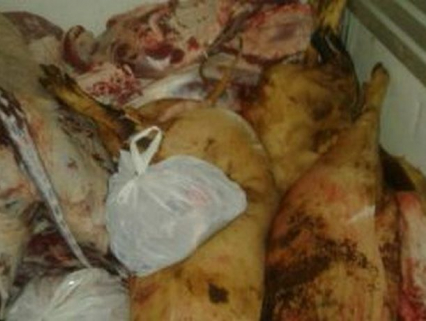 Партию опасного мяса попытался продать на Центральном рынке столицы ловкий делец
