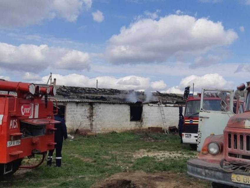 Трагическое происшествие в Теленештах - 120 цыплят сгорели в пожаре на птицефабрике