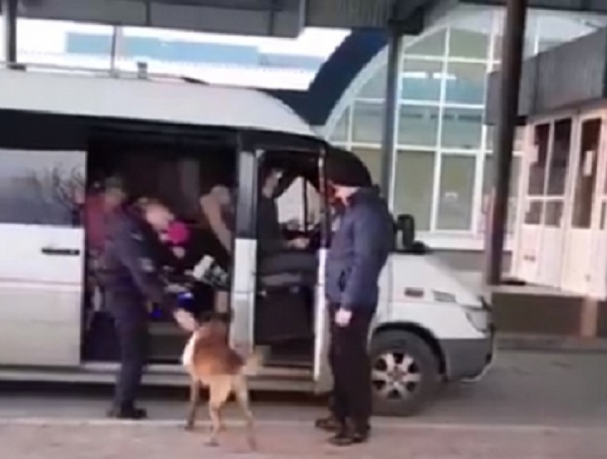 В Джурджулештах пограничный пес вместо поиска наркотиков притащил путешественникам пакет с подарками