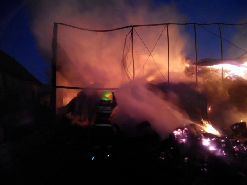 Подробности пожара в Новоаненском районе: часть животных и дом удалось спасти