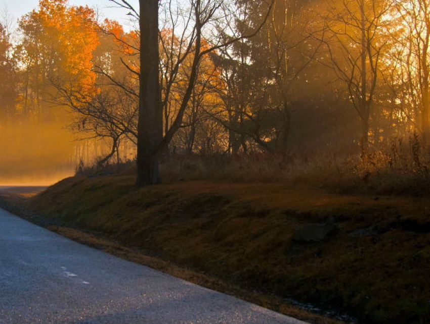 Зверски избитого обнаженного молодого человека в луже крови обнаружили дети у дороги в Унгенах