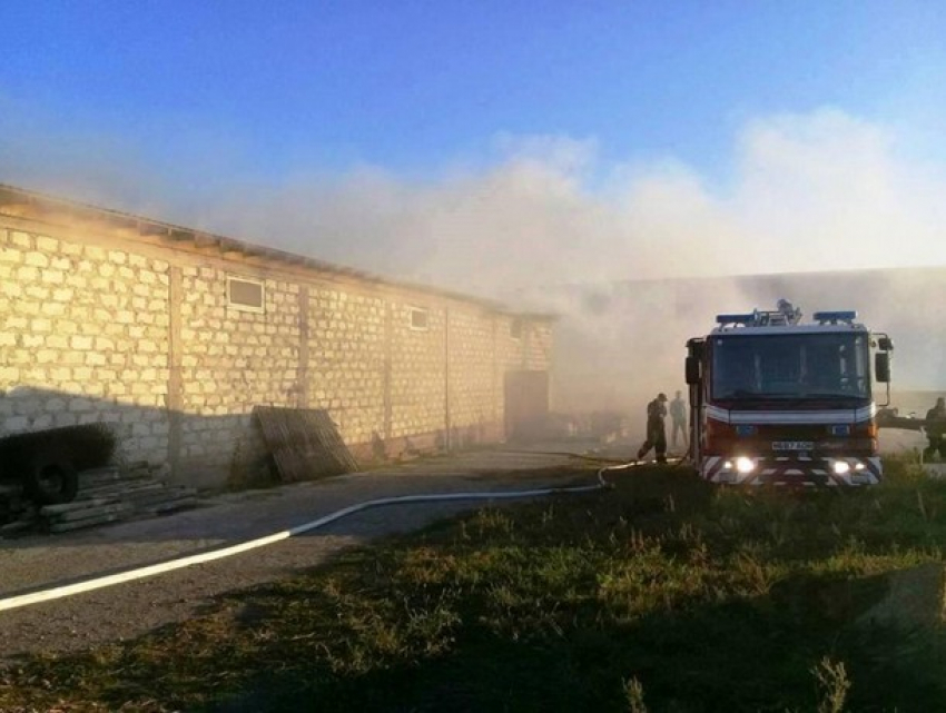Масштабный пожар вспыхнул на складе в Оргеевском районе 