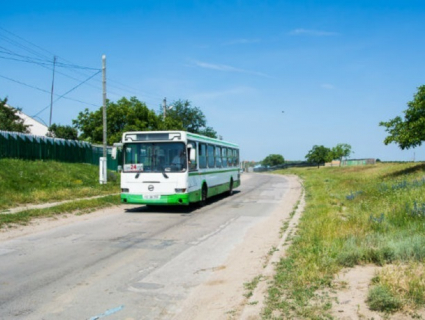 В родном селе Киртоакэ примар устроила на работу библиотекарем свою несовершеннолетнюю дочь