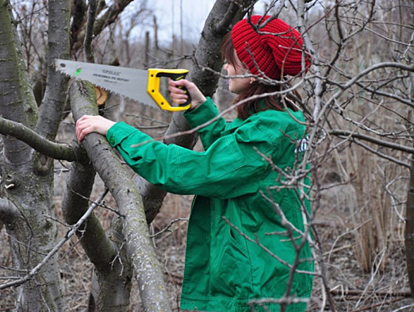 Катастрофическое падение во время обрезки дерева обернулось смертью молодой женщины в Приднестровье 