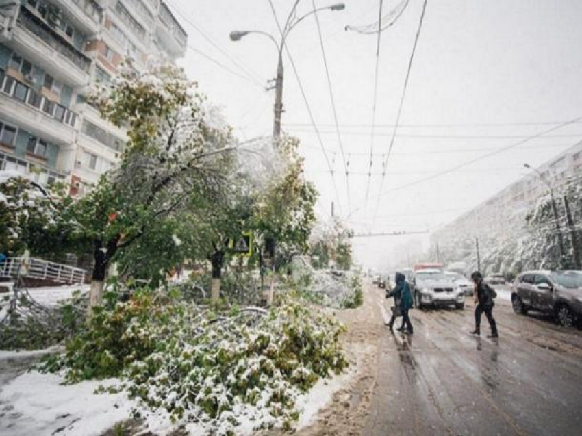 20 апреля 2017 - знаменитый апрельский снегопад