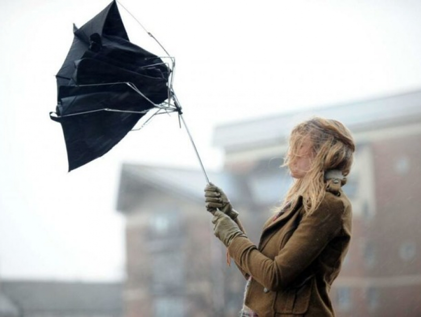 Желтый код: на Новый год без снега, но с сильным ветром