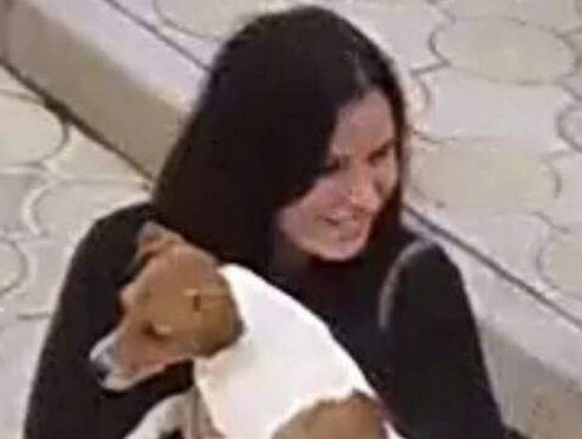 Брюнетка совершила наглое похищение породистой собаки в Кишиневе