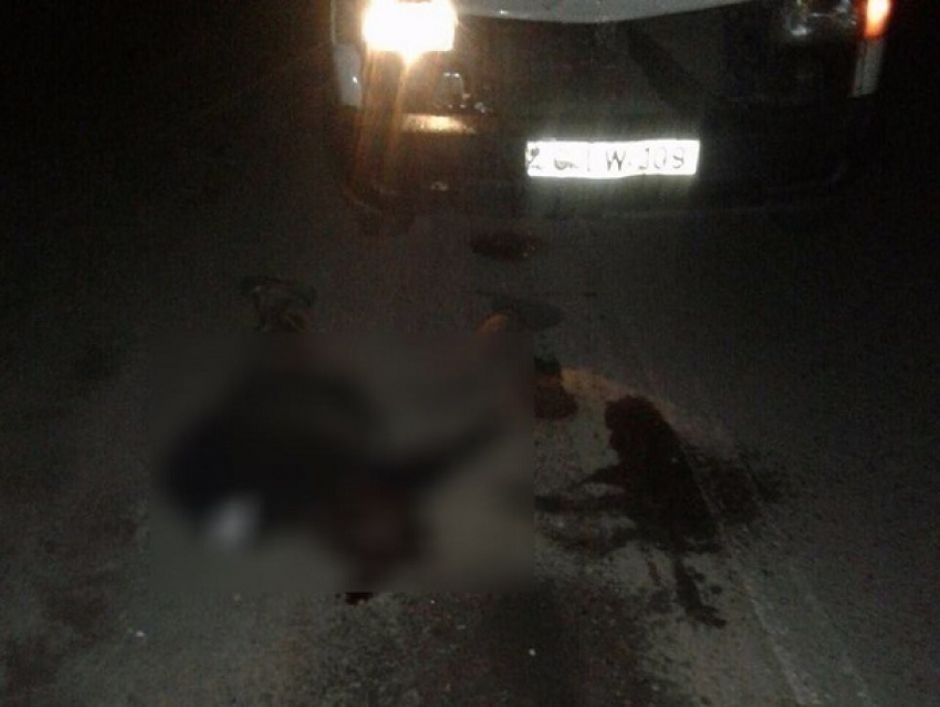 Смертельный наезд на мужчину и женщину совершил молодой водитель на Ботанике