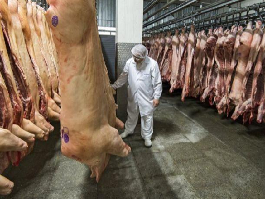 Стало известно, сколько мяса производит РМ и покрывает ли это потребности страны 