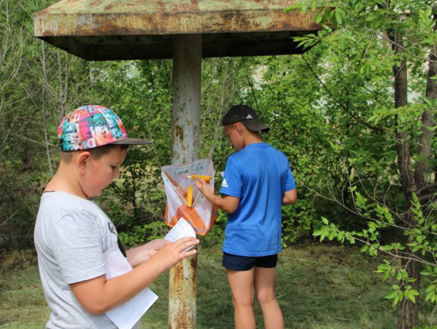 Жалобу на 16-летних воспитателей спровоцировала скука в лагере «Tabăra Zâmbet și Camping»