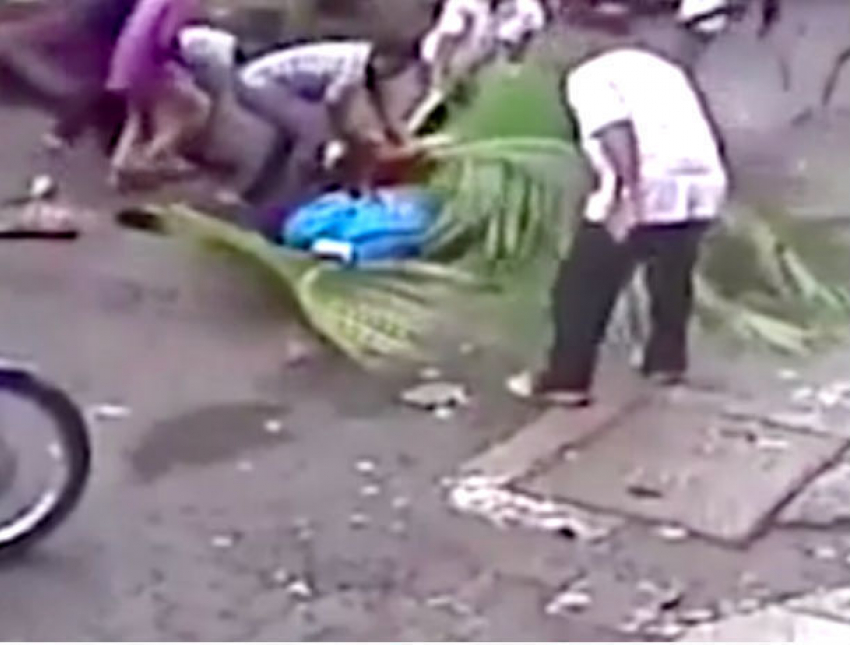 Шокирующее видео: упавшая пальма насмерть раздавила известную телеведущую