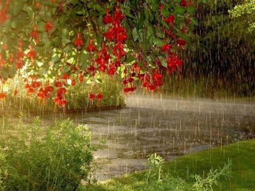 В понедельник в Молдове будет дождливо 