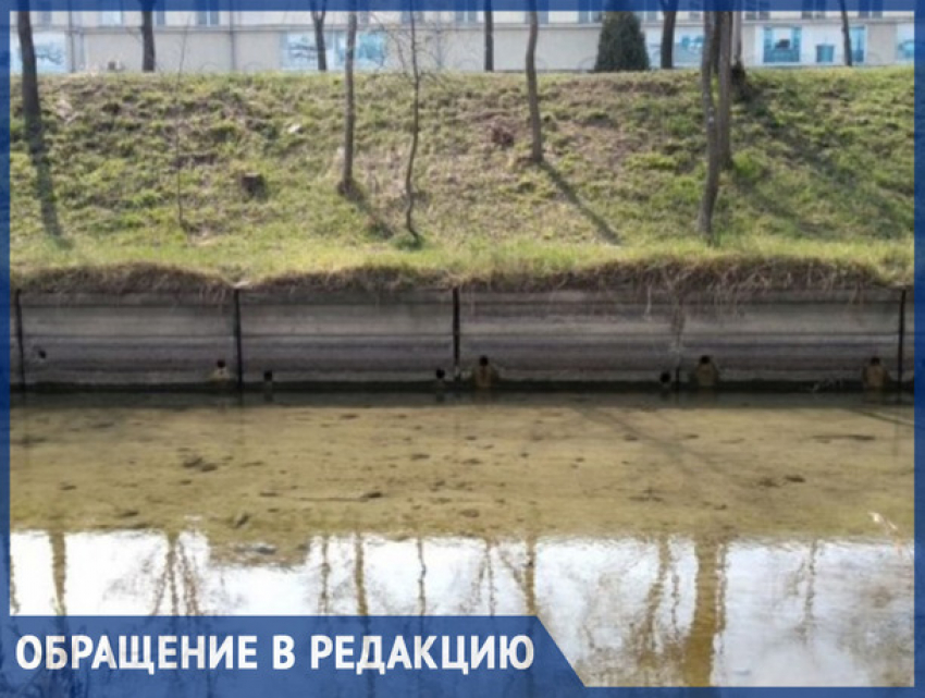 Бык задохнулся: окраину Кишинева накрыла волна ядовитой вони