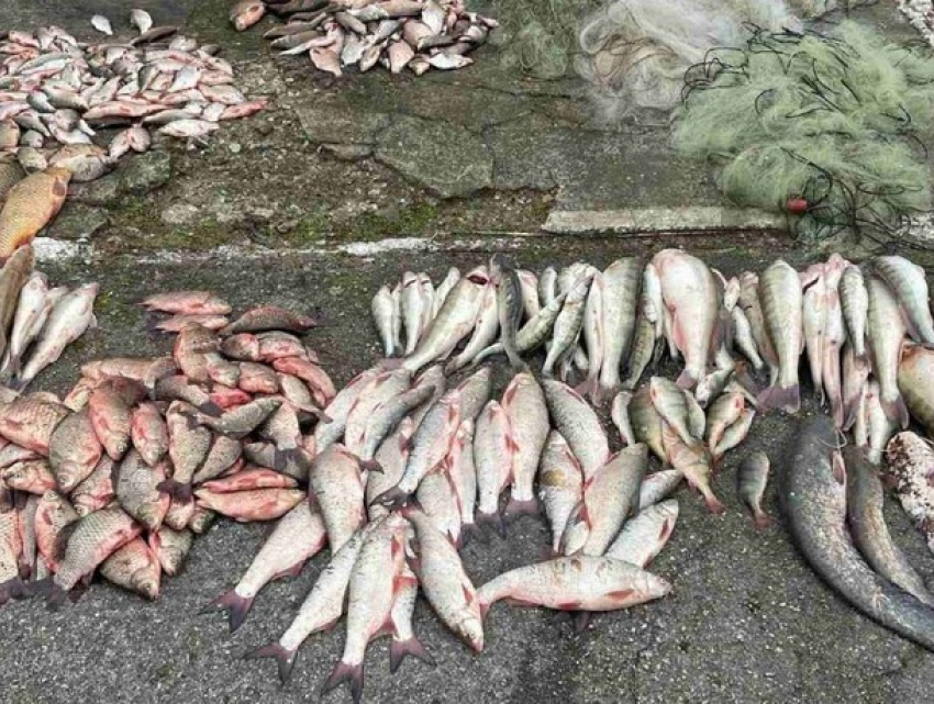 Опасность для здоровья: жителей Молдовы просят воздержаться от рыбы из Днестра 