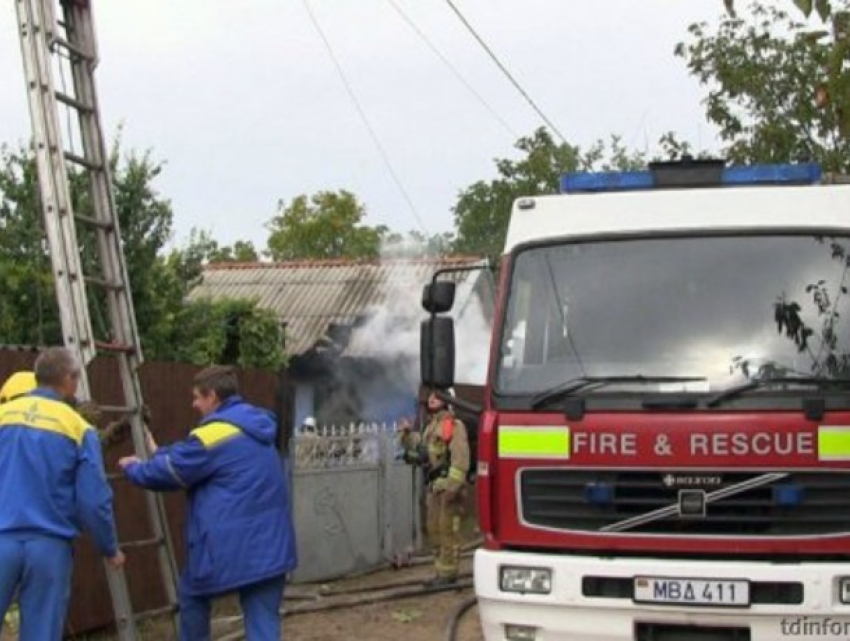 70 кур и перепелок погибли во время пожара в Тирасполе