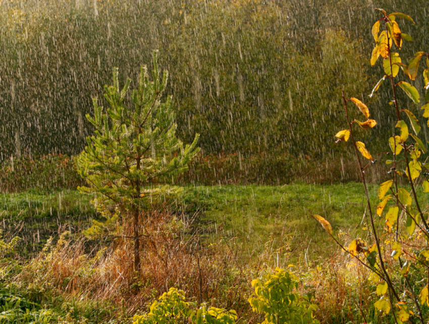 Во вторник в Молдове возможны небольшие дожди 