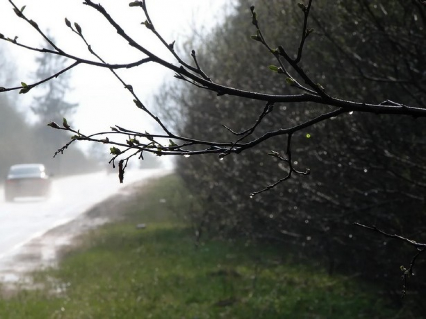 В Молдову возвращаются заморозки – погода на воскресенье 