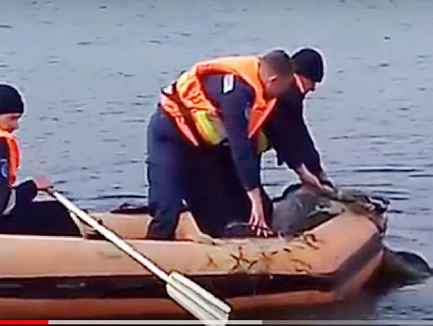 Молодой мужчина погиб на рыбалке в Кагульском районе, запутавшись в браконьерской сети