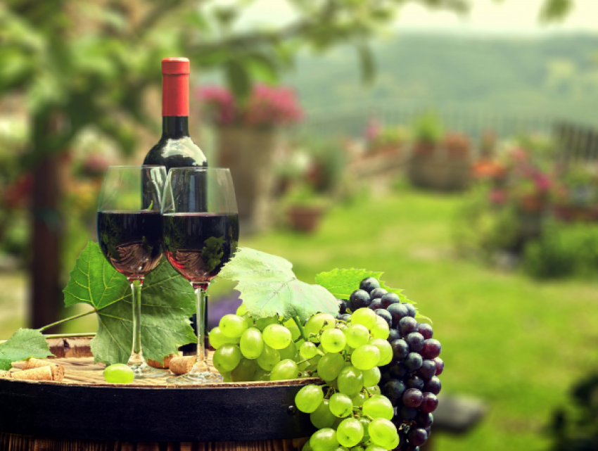 Молдавские виноделы не обанкротились - помогли рынки СНГ