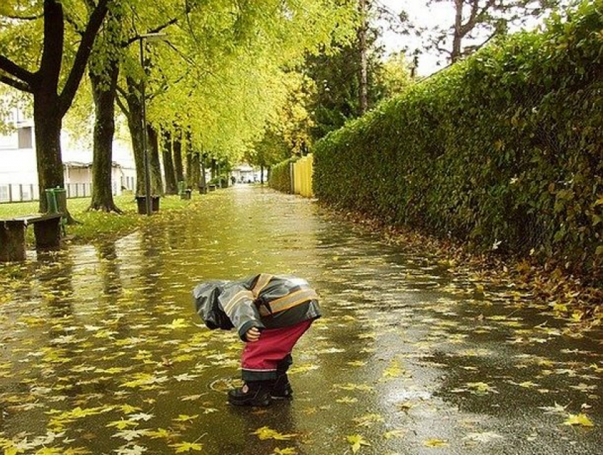 Среда в Молдове будет дождливой 
