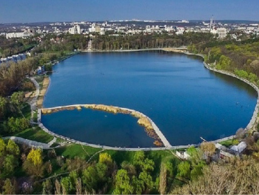 Водоросли загрязнили воду озера в столичном парке Валя Морилор 