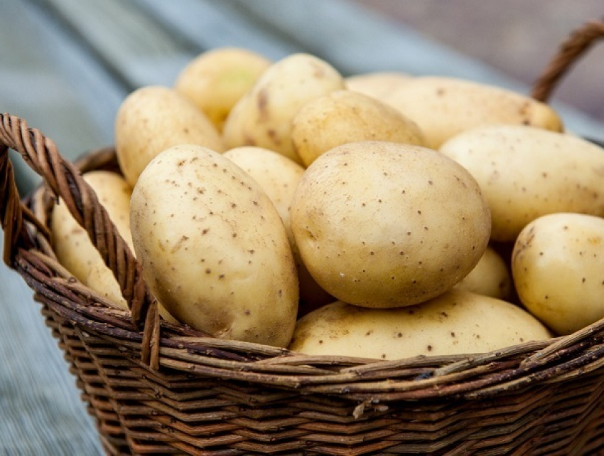 В феврале картофель значительно подорожает, - эксперты