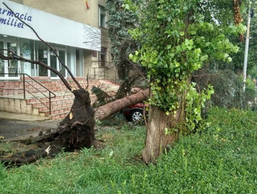 На Молдову обрушилась буря: север страны серьезно пострадал
