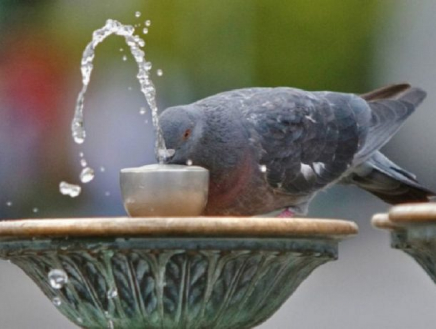 В субботу в Молдове будет жарко и ветрено 