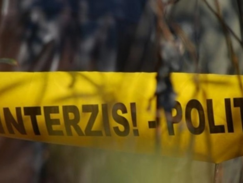 Шок в Резинском районе: 19-летнюю девушку убила соперница и спрятала тело в лесу