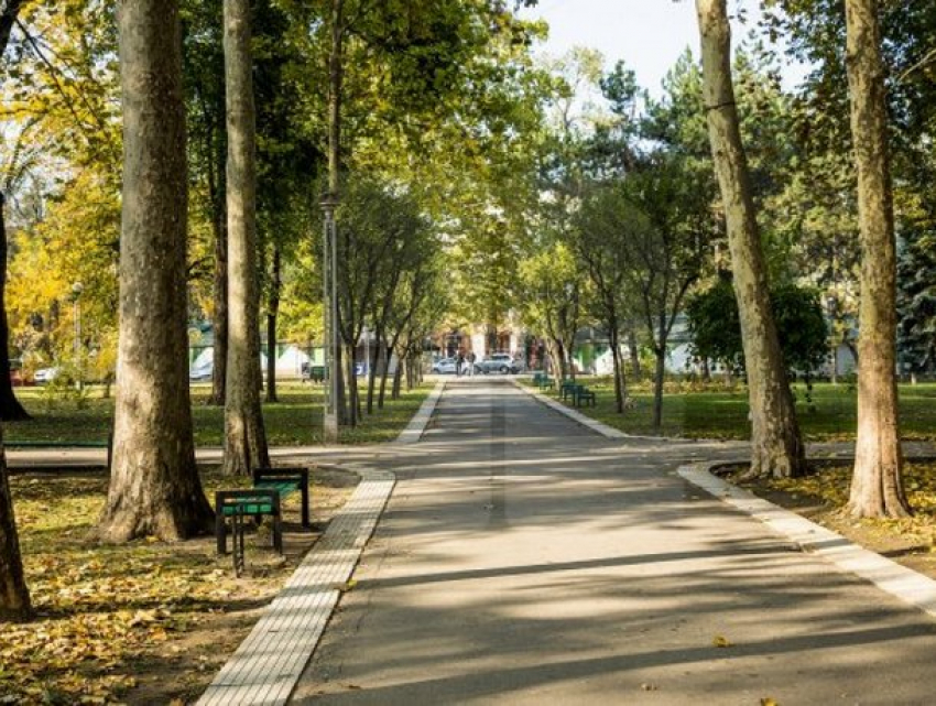 Воскресенье в Молдове будет теплым и ветреным 