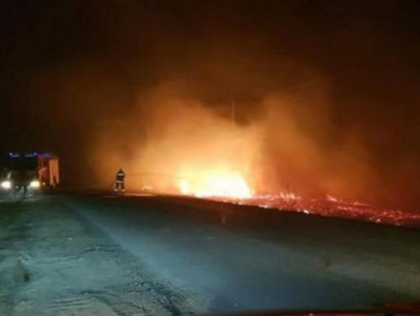 За последние 24 часа пожарным пришлось бороться с 98 очагами возгорания растительности