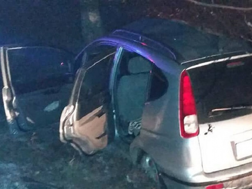 В Штефан-Водэ при ударе о дерево погибла мать водителя