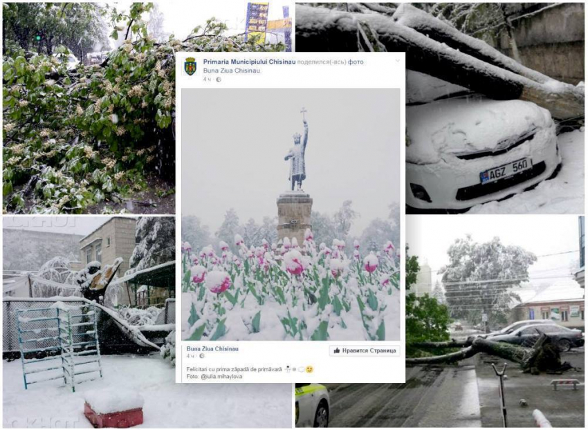 Пока кишиневцы подсчитывают ущерб от упавших деревьев, примэрия поздравляет их со снегом