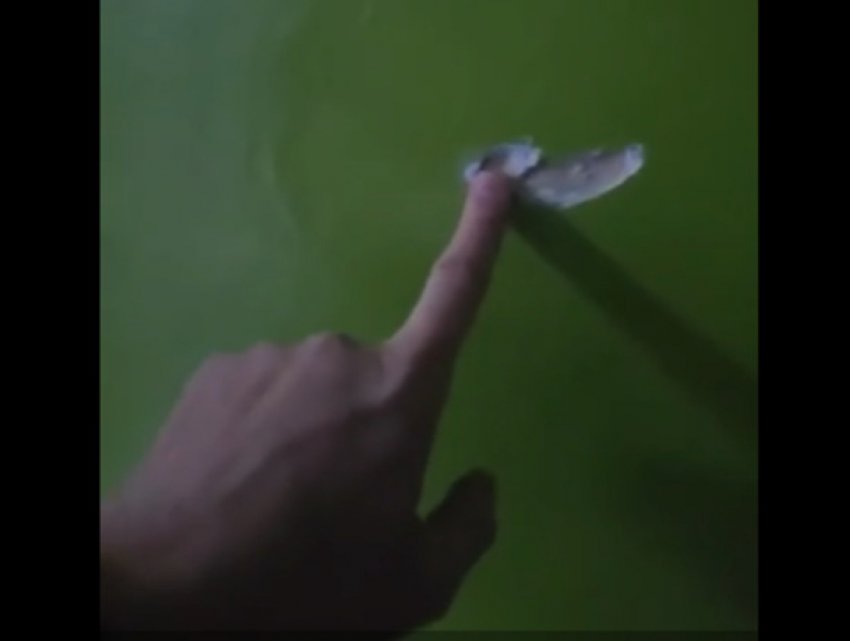 "Праздничная» стрельба в здании полиции закончилась увольнениями - заявление ГИП