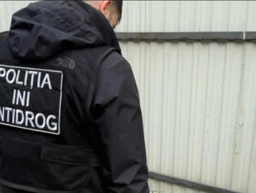 Антинаркотическая кампания идет полным ходом: полиция выявила множество случаев хранения запрещенных веществ