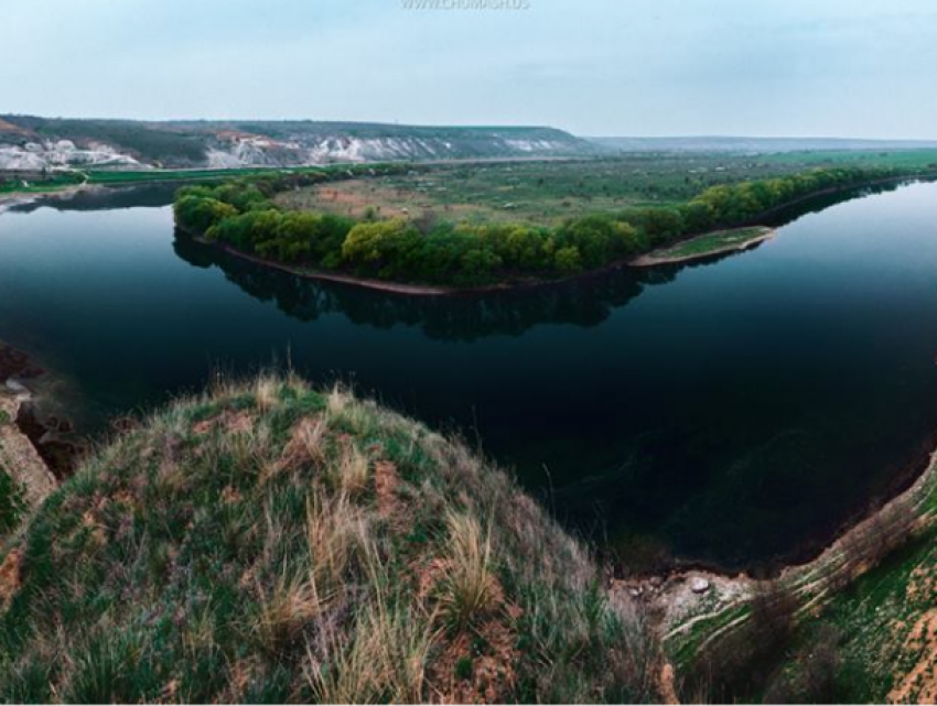 Разворовывают природные ресурсы Молдовы на миллионы, а штрафы оплачивают на тысячи