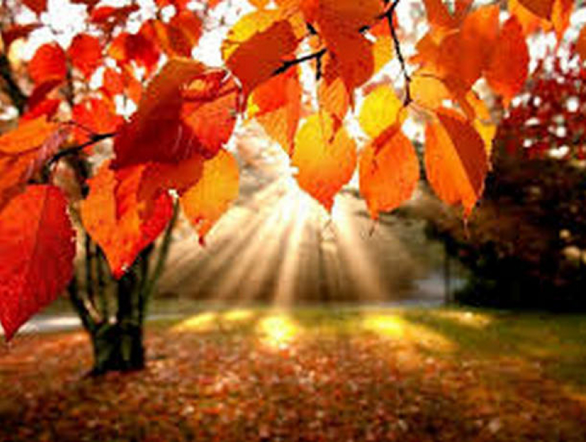 В первый день октября в Молдове будет тепло и солнечно 