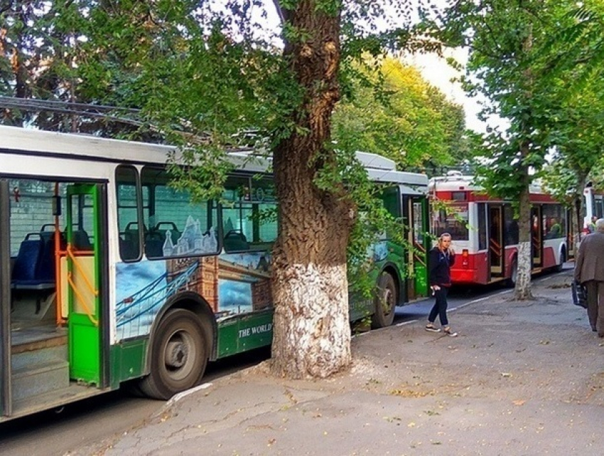 Транспортный коллапс из-за аварии на троллейбусной линии произошел в Бельцах