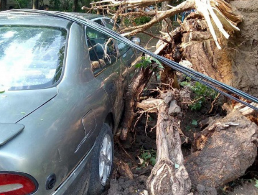 Последствия вчерашней стихии - обесточенные села, поваленные деревья, размытые дороги