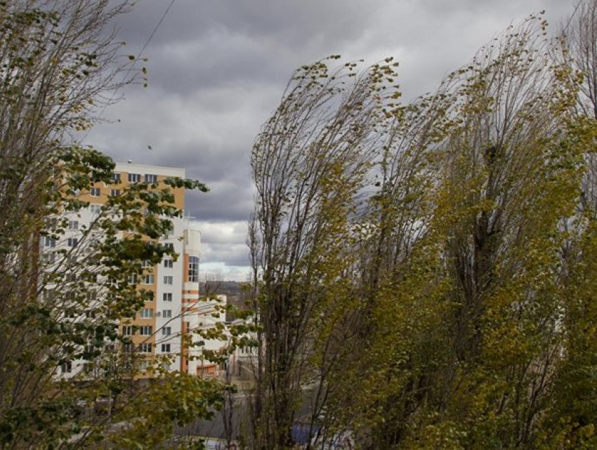 На Молдову движется штормовой фронт: в субботу будет тепло и ветрено 