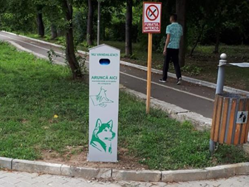 В столичных парках появились контейнеры для владельцев домашних животных