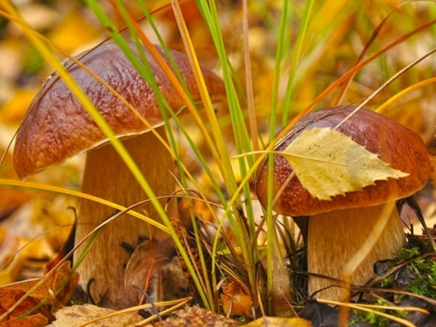 В пятницу в Молдове будет тепло и ветрено 
