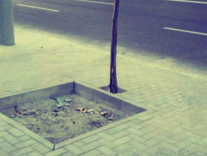 Ремонт тротуаров на проспекте Штефана чел Маре не перестал  удивлять кишиневцев 