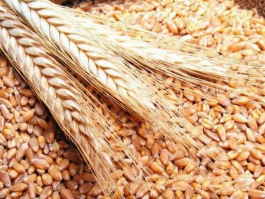 Из-за либералов у Молдовы могут возникнуть большие проблемы с экспортом зерна