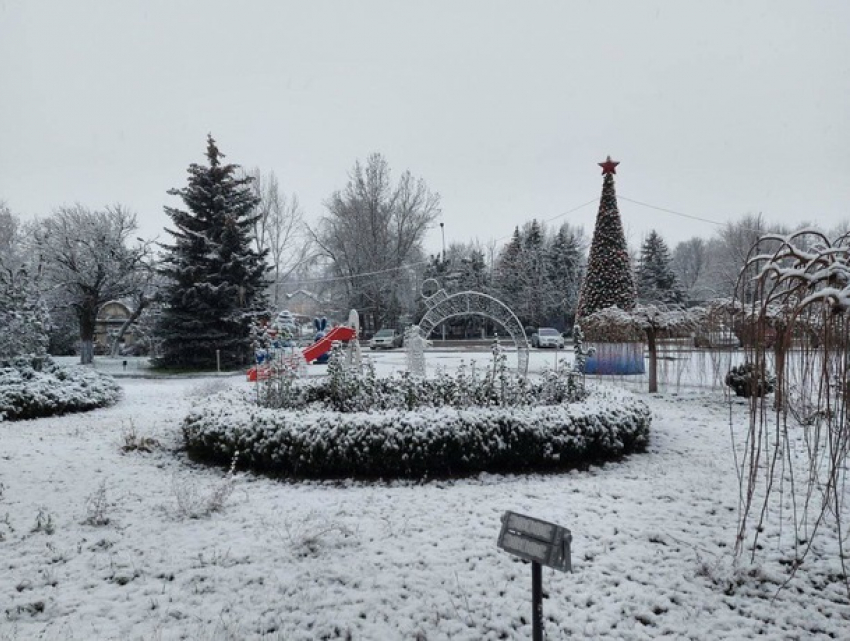 Когда идет снег, мы снова чувствуем себя детьми – юг Молдовы укрыло белой пеленой