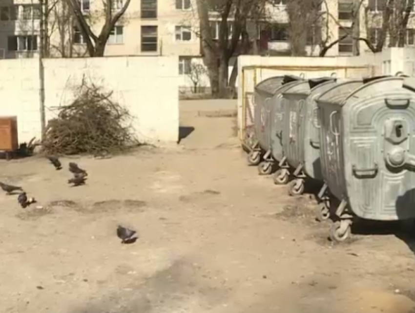 Арестованы подозреваемые в деле «трупа в мусорном баке» на Рышкановке