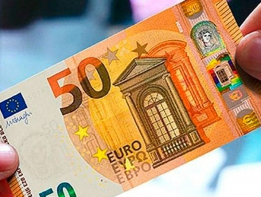 50 евро за сигнал: власти подключают граждан к борьбе с чумой свиней