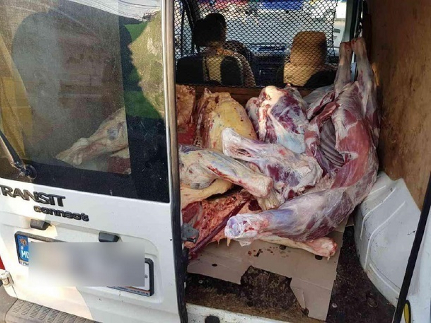 Набитые «ядовитыми» колбасами и мясом автомобили задержали в центре Кишинева
