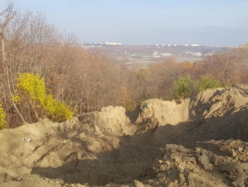 Строительная компания из Кишинева уничтожает столичный парк