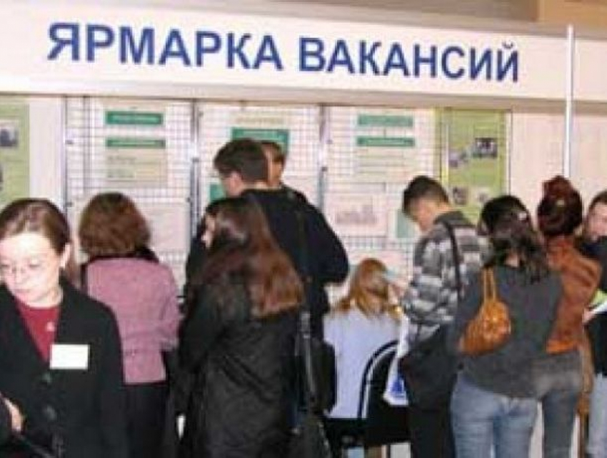 В Национальном агентстве занятости заявили о снижении числа безработных в Молдове